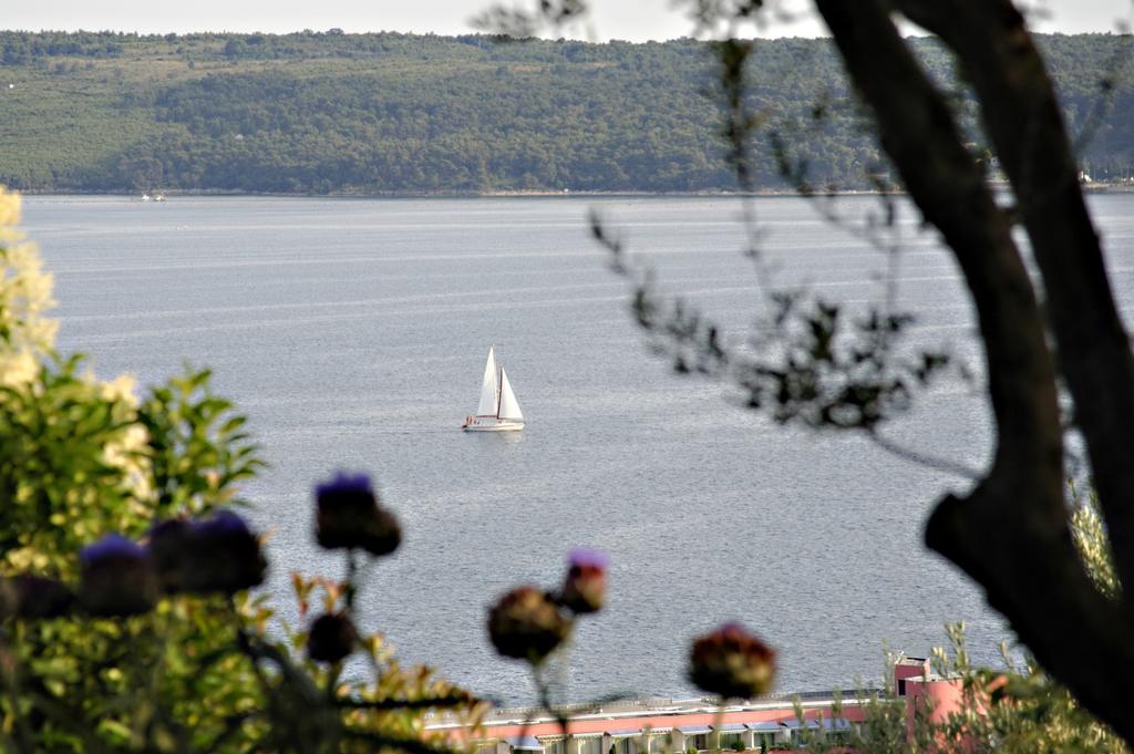 Apartment Rubin Piran Exterior foto